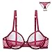 Sheer Bra and Panty Sets for Women, See Through Mesh Underwire Bras Briefs Lace Lingerie Set 2 Piece(V279TS0-34B-Red