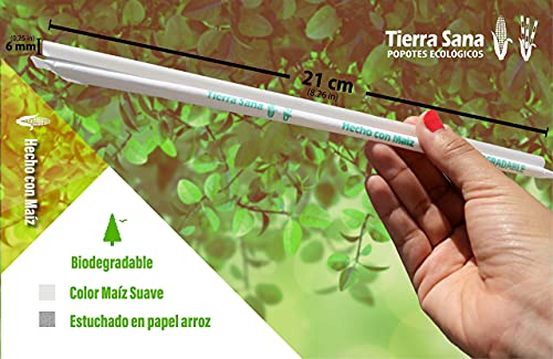 Popotes Ecológicos Tierra Sana, Estuchados Individualmente, Caja con 2000 piezas de 21 cm. Hechos con Maíz, Grado Alimenticio, Caja Mayoreo para Restaurantes, Cafeterías, Hoteles.