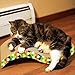 Lambow Evelots Cat Scratch Board, Incline Scratcher Kitty Toy, Durable Wave Design