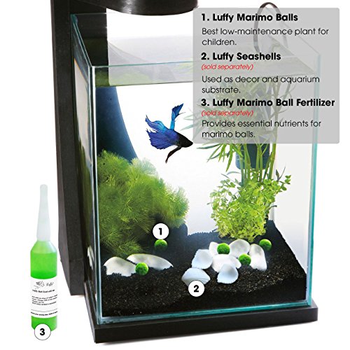 5 Luffy+First+Plant+Nano+Marimo