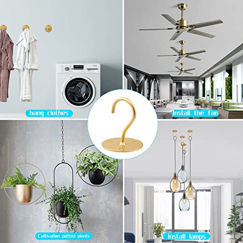 Ceiling Hooks for Hanging Plants Metal Heavy Duty Wall Mounted Hangers for Hanging Bird