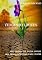 Livro Vencendo Limites