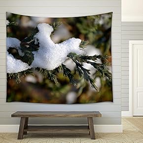 Detail of Snow on Tree Branch - Fabric Wall Tapestry Home Decor - 51x60 inches