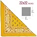 Basico Bandanas Value Pack 100% Cotton Paisley Head Wrap with Tube Face Mask/Headband (6pk- Gold)