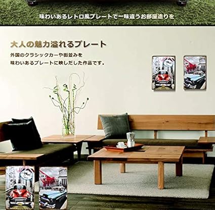 Amazon クラシカルプレート 単品販売 壁掛け 大人 インテリア 世界 車 おしゃれ アート 絵画 コンパクト 部屋 Tec Clasplated タイプc Dar ホーム キッチン