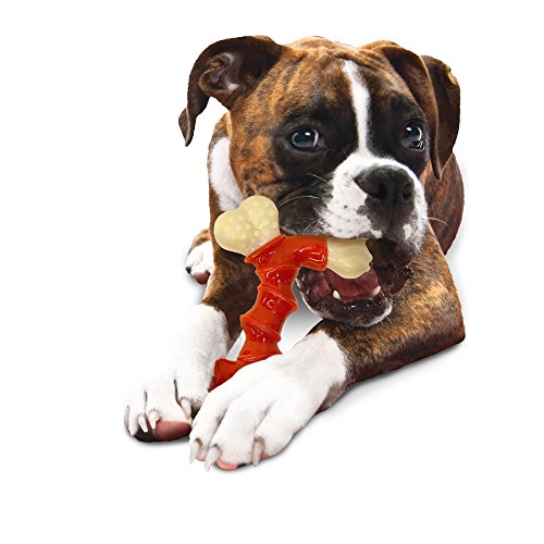Nylabone Dura Souper Bacon Flavored Double Bone Dog Chew Toy