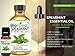 BioFinest Spearmint Oil - 100% Pure Spearmint Essential Oil - Premium Organic - Therapeutic Grade - Best For Aromatherapy - Boost Digestion - Muscle Soothing - FREE E-Book (10ml)