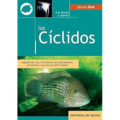 Los cíclidos