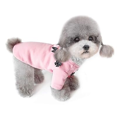 Best place to buy dog clothes Outlet