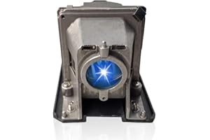 Poxtedsr NP13LP/NP18LP Replacement Projector Lamp Compatible with NEC NP-V300W NP-V300WG NP-V300X V281W V300W V300WG V300X V311W V311X VE280 VE280X VE281 VE281X VE282 VE282X Projestors, with Housing