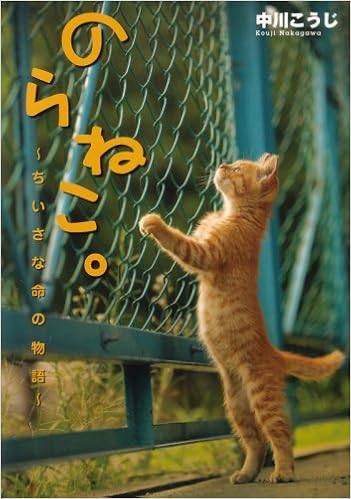 のらねこ ちいさな命の物語 中川 こうじ 本 通販 Amazon