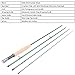 Maxcatch 3-12wt Medium-fast Action Premier Fly Rod-IM8 Carbon Blank for High Performance,with AA Cork Grip Hard Chromed Guides and Cordura Tube