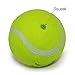 Squeaky Tennis Balls for Dogs - Premium Toy for Pet Training 12-pack