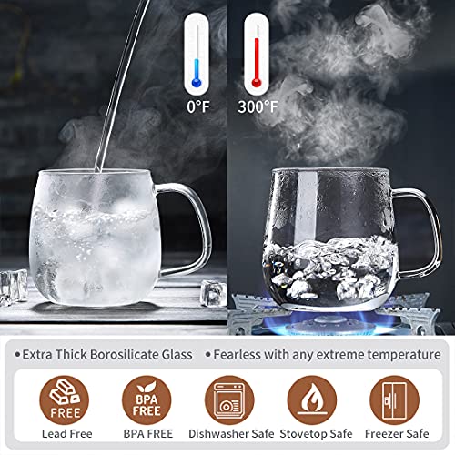 DOPUDO PAVILION Glass Tea Cup with Infuser and Lid, 17.6oz/ 520ml