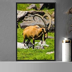 signwin Framed Canvas Wall Art Goat Animals Expressive...