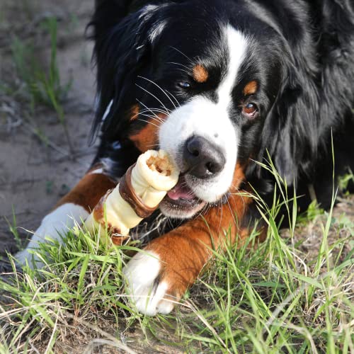 Wild Eats Water Buffalo Retriever 9 Inch Cheek Roll Dog Chews 3 Pack