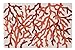 C & F Enterprises Cora 2' x 3' Rug
