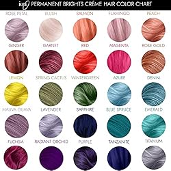 Ion Permanent Brights Creme Hair Color Titanium