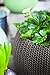 Keter Cozie Planter Set, Medium/Small, Harvest Brown