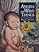 Angels and Wild Things: The Archetypal Poetics of Maurice Sendak by John Cech