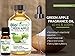 BioFinest Green Apple Fragrance Oil - 100% Pure & Natural - Fresh Home Scent - Air Refresher - Relaxing Aromatherapy - Skin and Hair Care - FREE E-Book (10ml)