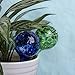 Fascigirl Plant Watering Globes 4 Pcs Automatic Glass Watering Bulbs Colorful Self Watering System Hand-Blown Glass Plant Water for Garden 2.75inch