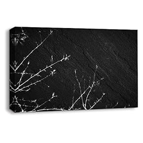 Canvas Wall Art Sports Abstract Black Painting Artwork for Home Prints Framed - 12x18 inches