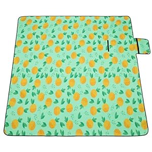 BESPORTBLE Picknickkleed Grote Waterdichte Opvouwbare Picknickmat Picknickkussen Voor Op Reis Wandelen 2 * 2M