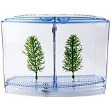 Saim Betta Bow 2-Compartment Fish Tank Kit Aquarium Tank