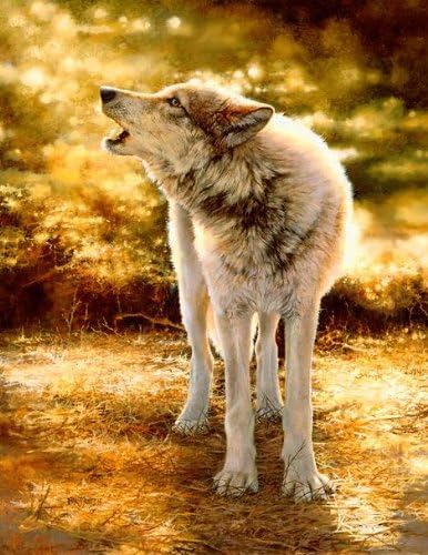 Bonnie Marris - Wolfsong