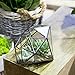 NCYP Large Eight-Surface Diamond Shape Geometric Glass Terrarium Succulent Plant Flower Pot, No Plants Included
