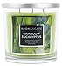 Aromascape PT40499 3-Wick Scented Jar Candle, Bamboo & Eucalyptus,14 Ounce