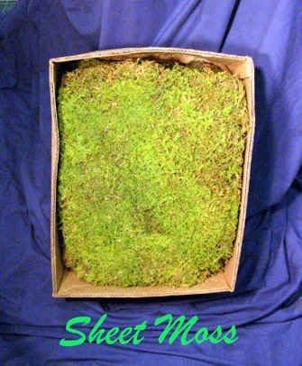 Sheet Moss Bulk Big 1.5 Cubic Foot Box
