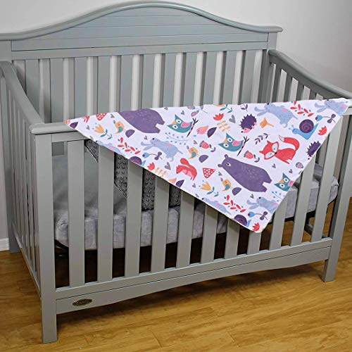 image for TEENCOO Minky Baby Blanket Woodland Super Soft Plush Dot Stroller Crib