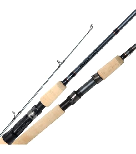 Daiwa Crossbeat SW 746TUL Fishing Rod : Amazon.ca: Sports & Outdoors
