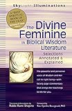 The Divine Feminine in Biblical Wisdom Literature: Selections Annotated & Explained (SkyLight Illuminations)