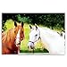HORSES postcard set of 20 postcards. Horse post card variety pack. Made in USA.