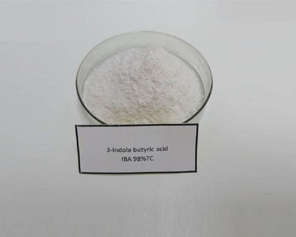 3-Indolebutyric Acid (IBA) 98% Indole-3-Butyric Acid (Grams) (50)