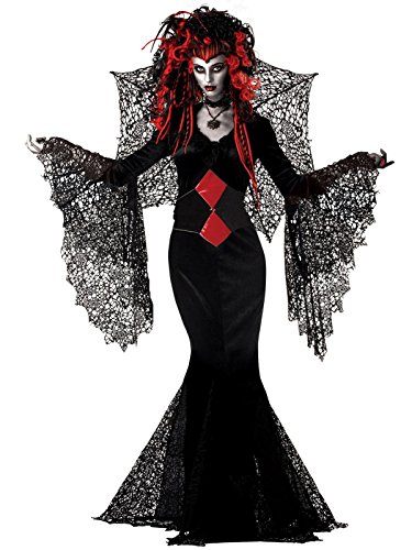 Gothic Costume Black Widow Spider 2 Piece Set Womens Long Gown and Web Wings