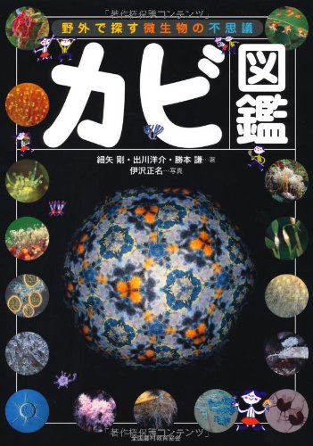 カビ図鑑 野外で探す微生物の不思議 剛 細矢 謙 勝本 洋介 出川 正名 伊沢 本 通販 Amazon
