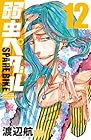 弱虫ペダル SPARE BIKE 第12巻