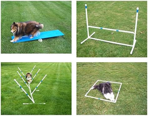 Agility Gear Starter Package - Med to Large Dogs