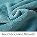 LBRO2M Fleece Bed Blanket Queen Size Super Soft Warm Fuzzy Velvet Plush Throw Lightweight Cozy Couch Blankets ((90x90 Inch) Turquoise