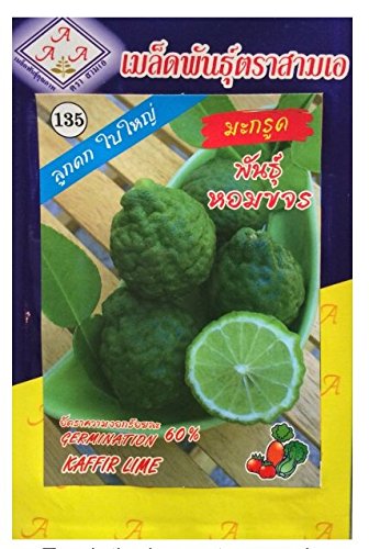 Thai Organic Kaffir Lime Seed Sam A Brand. Pack of 3.