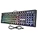 VicTsing RGB Backlit Wired Gaming Keyboard, Mechanical Feeling Gaming Keyboard with Anti-ghosting,12 Multimedia Keys, Spill-Resistant Design for PC/Laptop/Desktop, Black