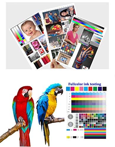 Upgraded 950XL 951XL Ink Cartridges Compatible for HP 950XL 951XL, High Yield for HP OfficeJet PRO 8610 8600 8620 8100 251dw 8630 8625 8615 (5-Pack, 2 Black Cyan Magenta Yellow)