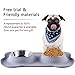 Dog Food Bowls, Stainless Steel Dog Bowls and Pet Bowls with No-Spill and Non-Skid Mat Feeder Bowls Suittable for Dogs Cats and Pets