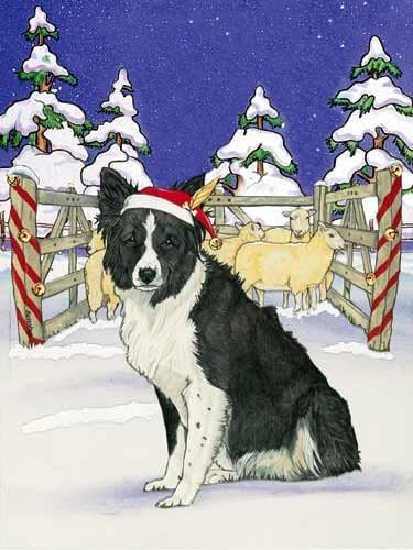 adopt big and small rescue