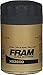 FRAM Ultra Synthetic XG3600 20K Mile Change Automotive Replacement Engine Oil Filter for Synthetic Oil Changes, Premium Vehicle Engine Protection Oil Filter for Select Vehicle Model Years