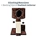 Animals Favorite Cat Condo Perch, Cat Tree with Scratch Post for Small Cats and Kittens (Condo Perch)
